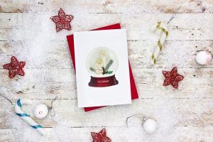 Christmas Navidad